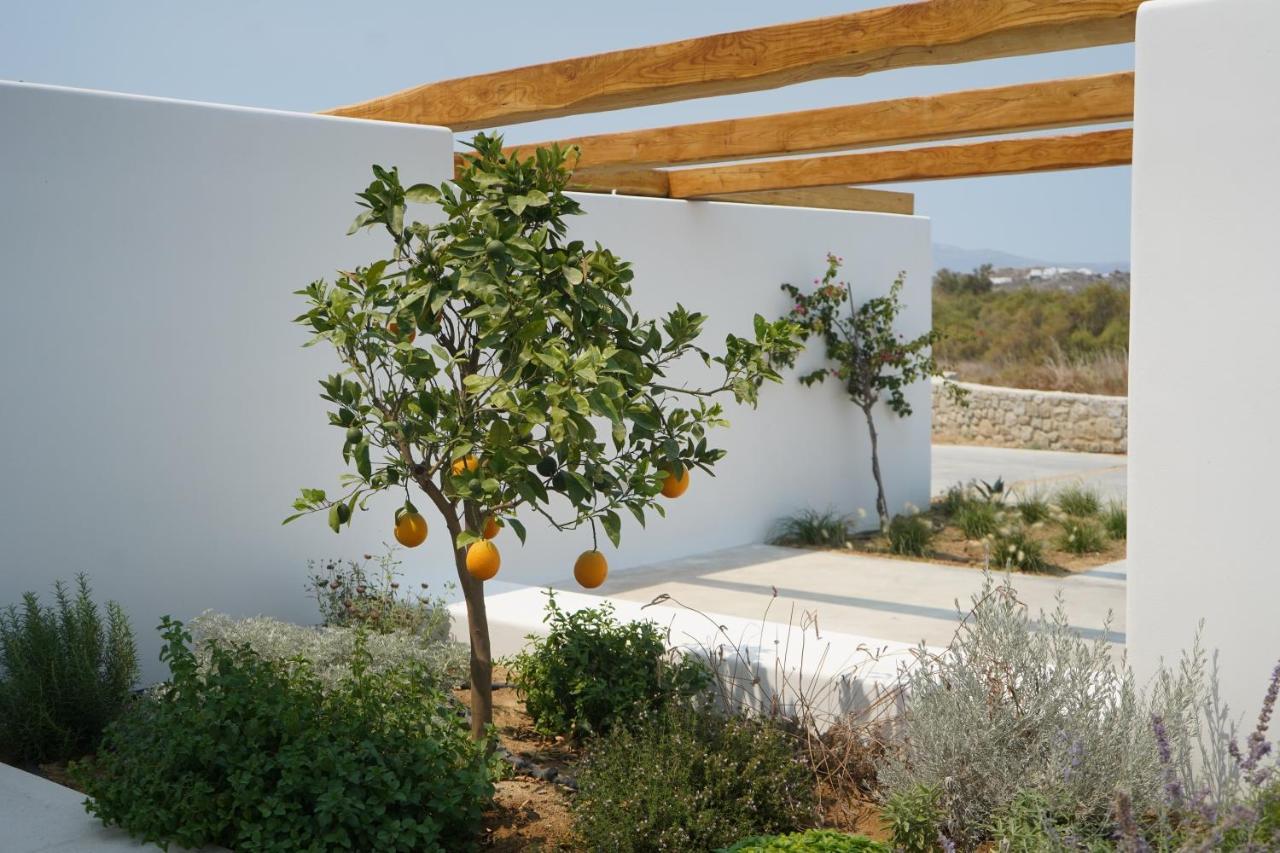 Alio Naxos Luxury Suites Agios Georgios  Exterior foto