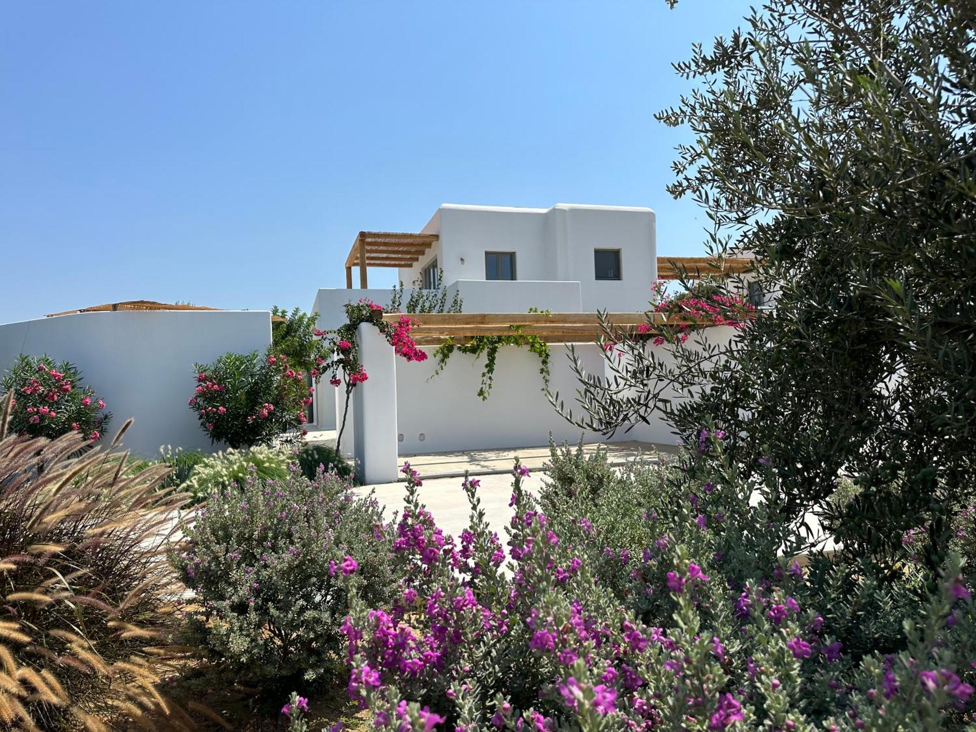 Alio Naxos Luxury Suites Agios Georgios  Exterior foto