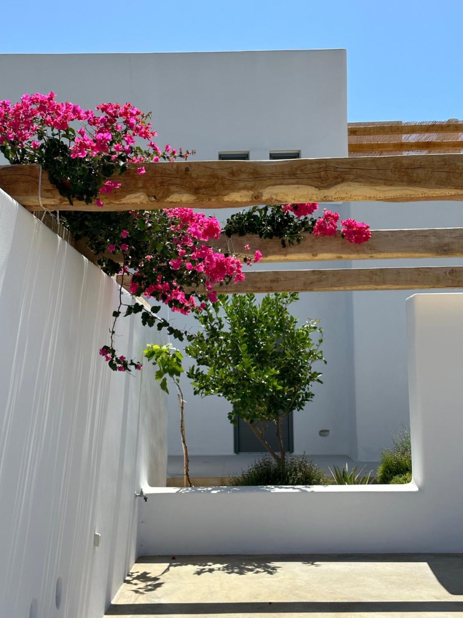 Alio Naxos Luxury Suites Agios Georgios  Exterior foto